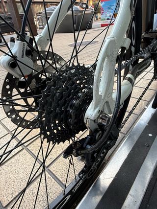 Bicicleta Orbea Sherpa