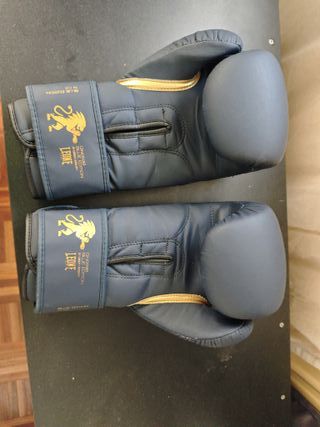 Guantes de Boxeo Leone 1947 Azul
