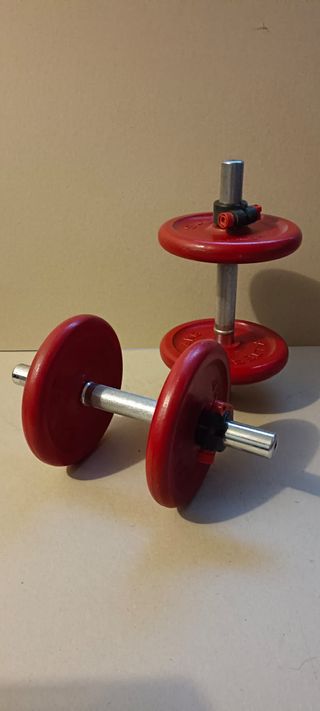 Manubri 2x10kg