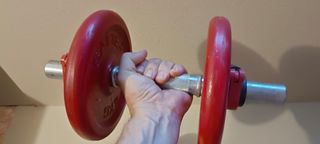 Manubri 2x10kg