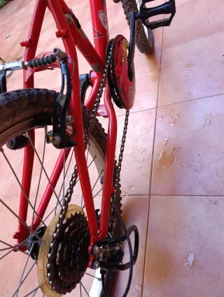 Racingboy 320 Kids' 20-Inch Mountain Bike 6-8 Year