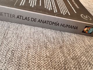 Mini Netter: Atlas de anatomia humana
