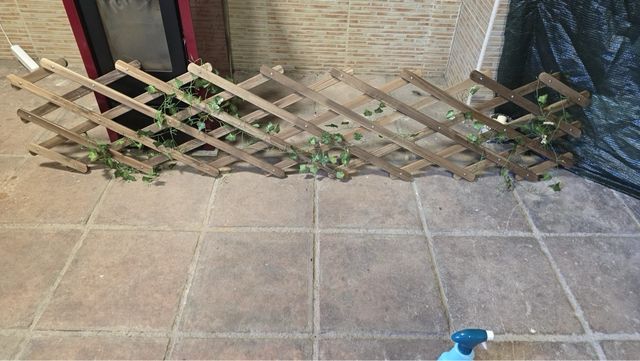 Celosía de madera extensible con plantas como nuev