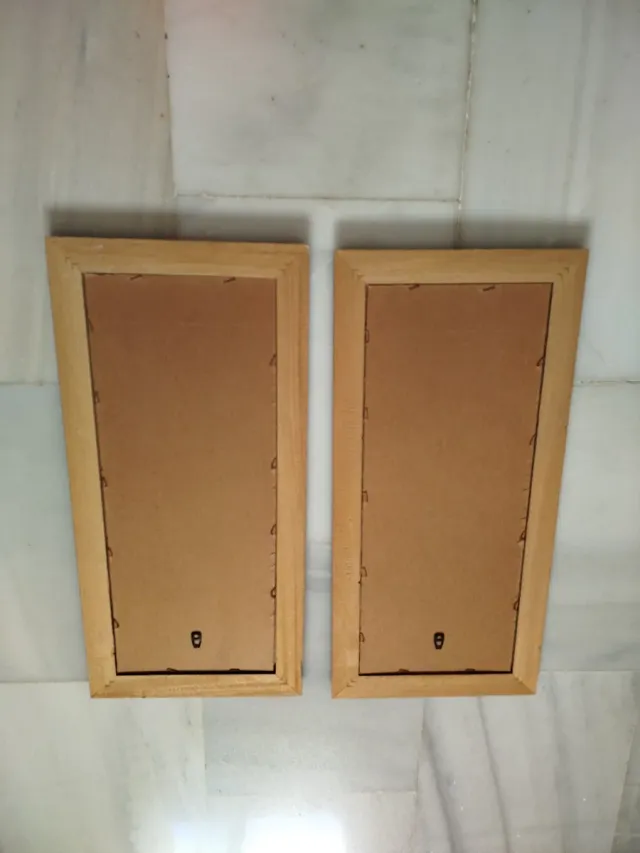 Juego de 2 cuadros florales