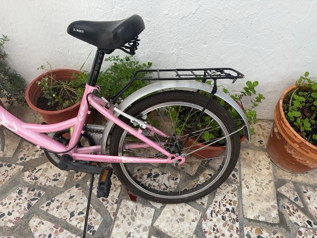 Bicicleta Paseo Rosa JL-WENTI