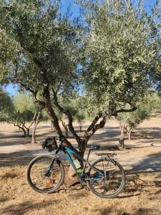 Bicicleta Rock Rider MTB
