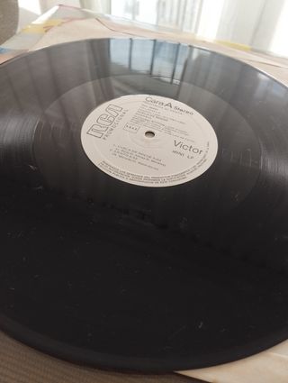 VINILO ROSARIO FLORES