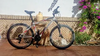Bicicleta Specialized Hardrock casco.