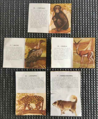 Cromos Zoobimbo Disney