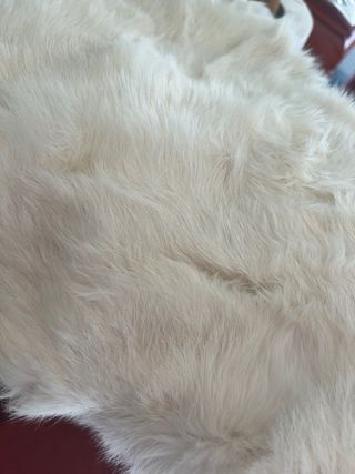 Vànova de pèl de conill autèntic