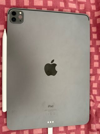 iPad Pro Space Gray 11” + Apple Pencil