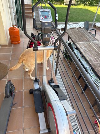 Bicicleta Elíptica Kettler