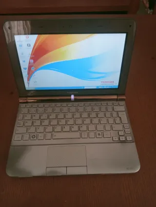 Portátil Toshiba NB-200 Verde/Plateado