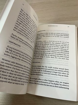 The Mountain Is You: Transforming Self-Sabotage...