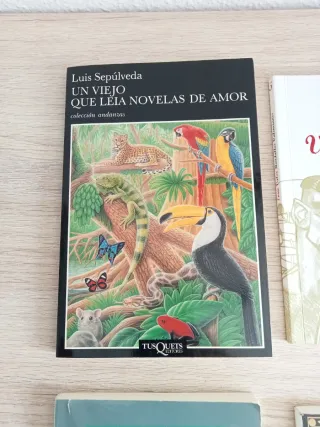 Varios libros mandados por cole o insti a 8€ cada.