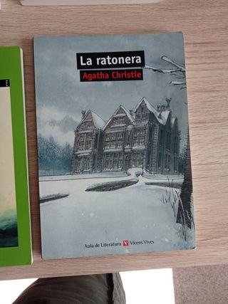 Varios libros mandados por cole o insti a 8€ cada.