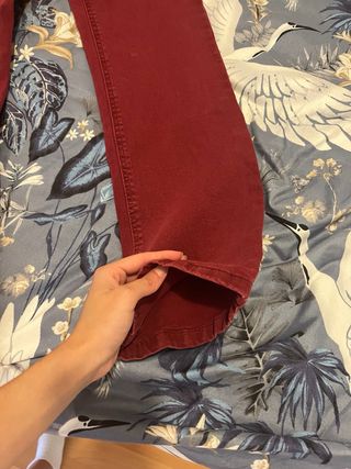 Pantalón Springfield Talla 34 Rojo 
