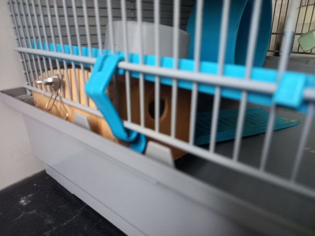 Jaula para hámster con accesorios