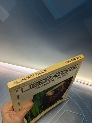 comic, ilustraciones, LIBERATORE GLAMOUR BOOK - TEXTO EN ITALIANO DE VICENZO MOLLICA, 1985