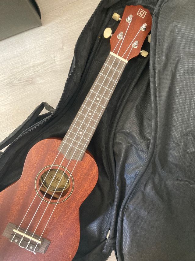 Ukelele marrón con funda