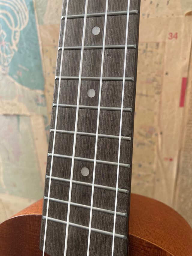 Ukelele marrón con funda