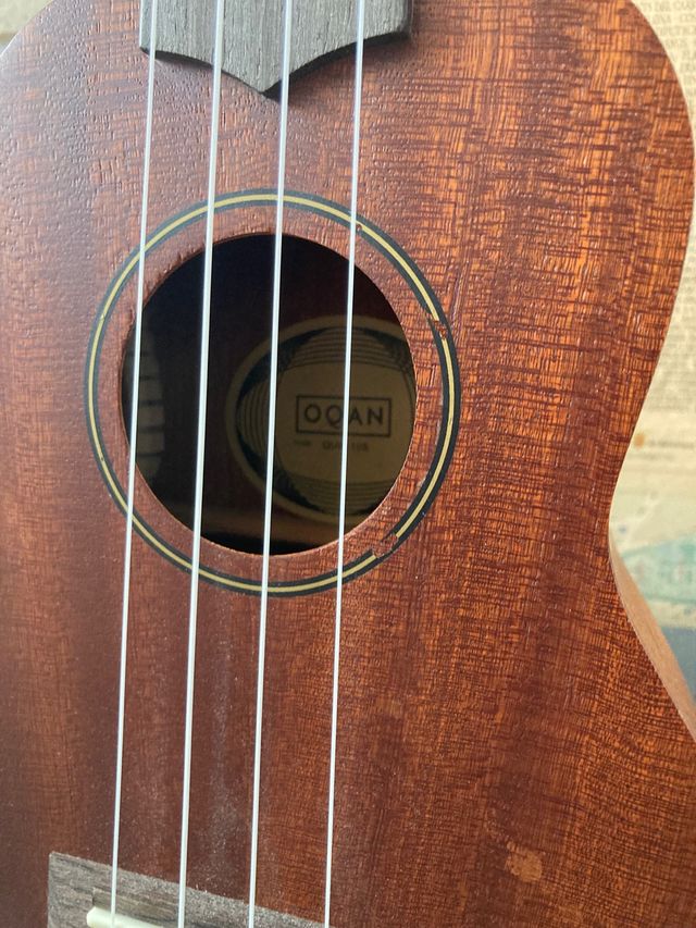 Ukelele marrón con funda