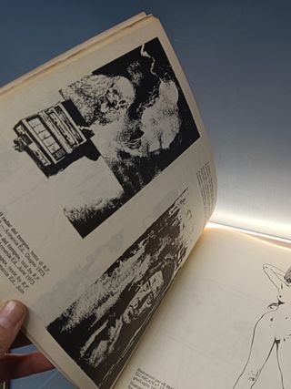 Cómic, ilustraciones, MILO MANARA - GLAMOUR BOOK , texto en italiano, 1984