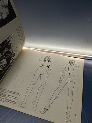 Cómic, ilustraciones, MILO MANARA - GLAMOUR BOOK , texto en italiano, 1984