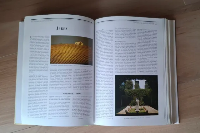 Larousse de los vinos/ Larousse of Wines: Los S...