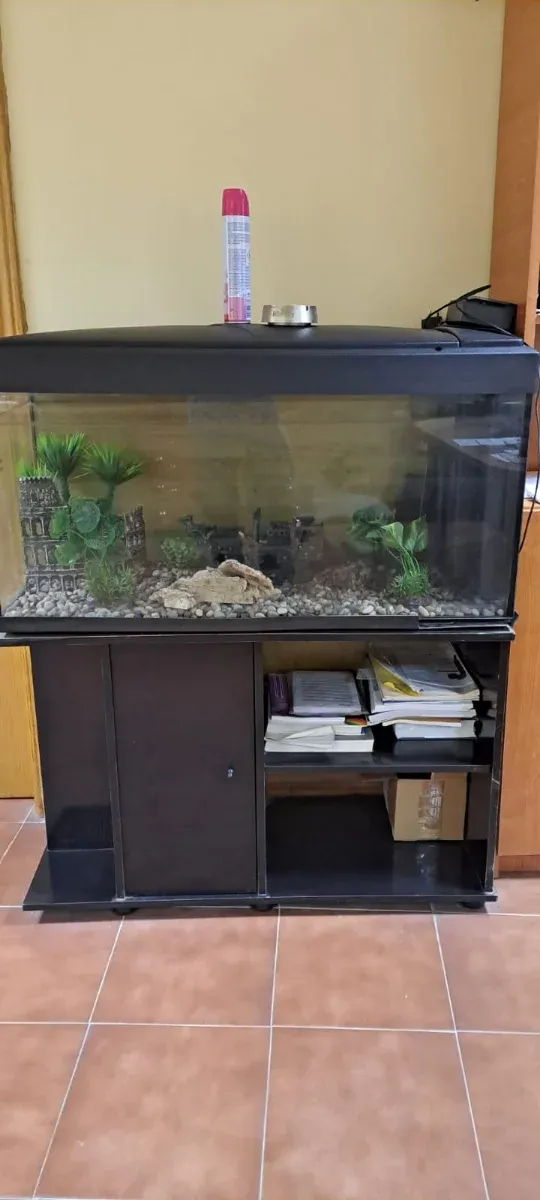 Pecera negra y marrón