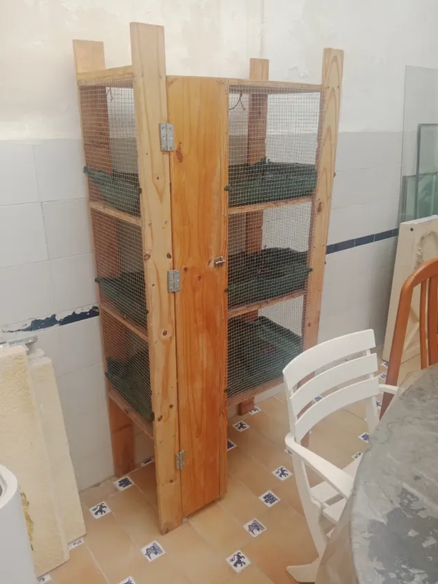 Jaula gallos, palomos, pájaros madera y malla