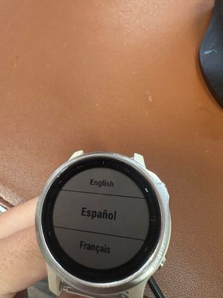 GARMIN FENIX 6S#454616
