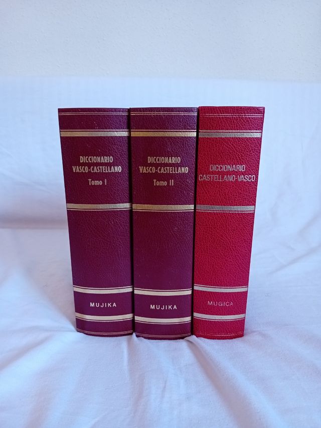 DICC.VASCO-CASTELLANO-2 VOLS. (Spanish Edition)