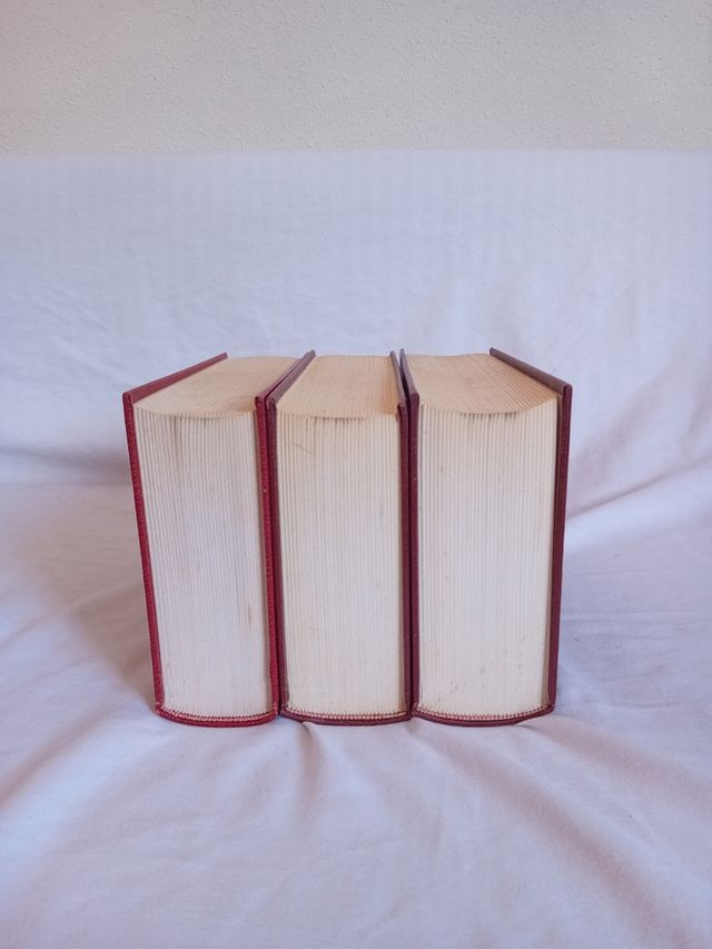 DICC.VASCO-CASTELLANO-2 VOLS. (Spanish Edition)