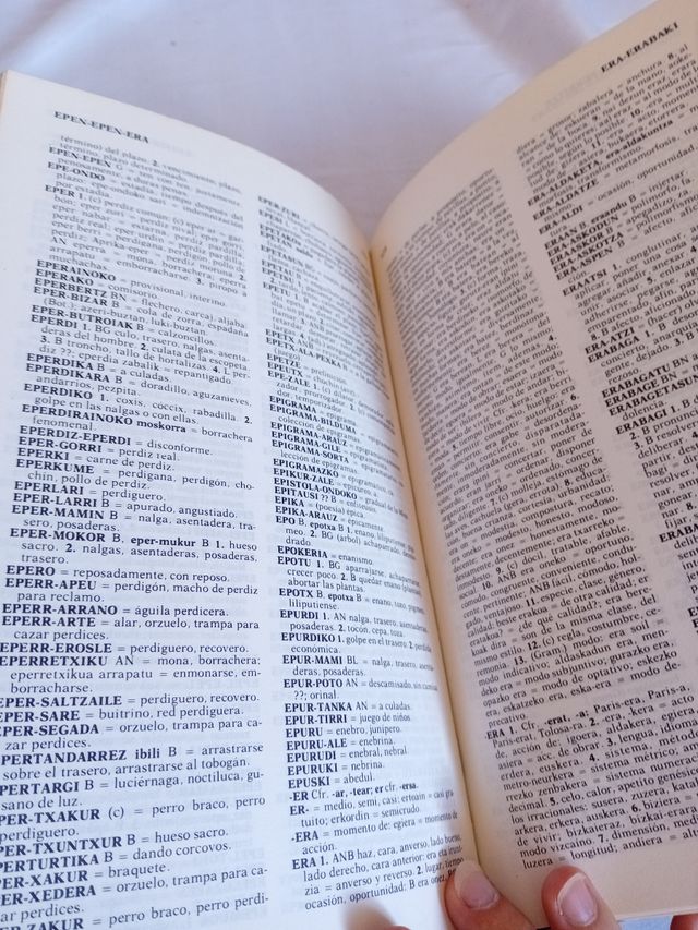 DICC.VASCO-CASTELLANO-2 VOLS. (Spanish Edition)