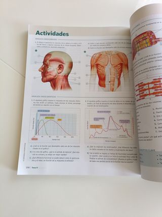Anatomia Aplicada 1 Bachillerato. Aula 3D