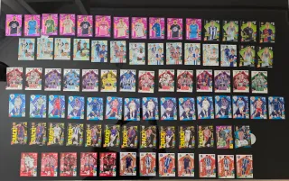 Cartas Panini 2024/2025