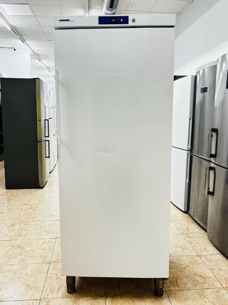 Nevera Liebherr