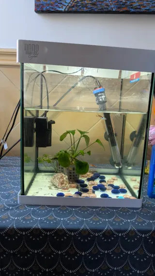 Acuario completo con accesorios