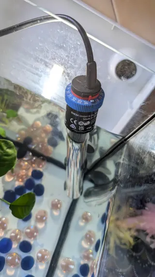 Acuario completo con accesorios