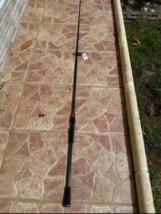 Caña de pescar spinning 2.58m OFERTA!