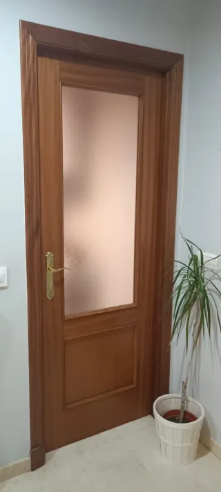 Puerta de madera con cristal(tengo más de una)