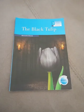 THE BLACK TULIP 2ºNB BAR