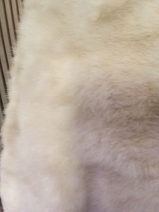 Chaqueta de lomos 