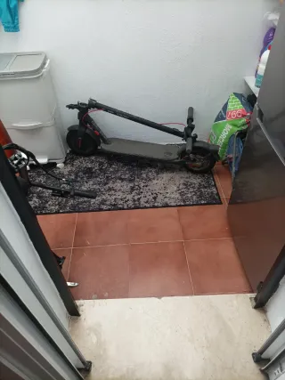 Patinete Eléctrico Xiaomi
