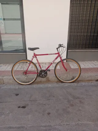 Bicicleta de montaña roja