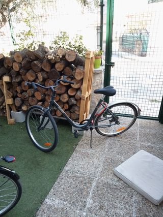 Bicicleta paseo adulto