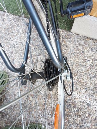 Bicicleta paseo adulto