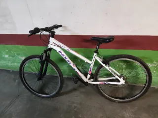 Bicicleta INDUR Angel