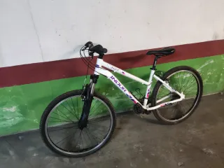 Bicicleta INDUR Angel